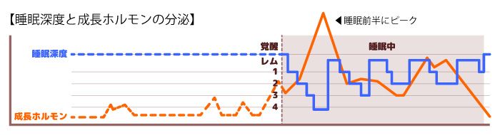 敷布団が汚れると買い替えたくなりますね。早めのクリーニングと敷布団カバーで買い替え時期を少しでも遅らせましょう。