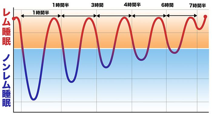 ラクダの毛を使ったキャメルの敷布団は羊毛敷布団と同じく、湿気、乾燥による収縮と、重みでへたります。